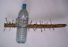 markus_riester_kunst001002011.jpg