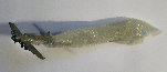 markus_riester_kunst001002020.jpg