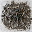 markus_riester_kunst001101024.jpg